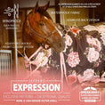 Bild in Galerie-Betrachter laden, Jeffers Expression 1200 Denier Standard Neck Horse Turnout Sheet, 0 Gram
