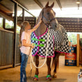 Bild in Galerie-Betrachter laden, Jeffers Expression 1200 Denier Standard Neck Horse Turnout Sheet, 0 Gram