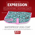 Load image into Gallery viewer, Jeffers Expression dog coat, 600D waterproof ripstop, turquoise with pink leopard print and pink trim.