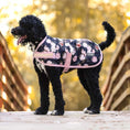Load image into Gallery viewer, Dog coat: Jeffers Expression 600D waterproof ripstop with navy floral print and pink trim; Jeffers logo patch visible.