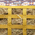 Carica l'immagine nel visualizzatore della galleria, Jeffers Expression Extend-Feed Hay Bag for Horses & Livestock; bright yellow nylon straps with hay visible inside.
