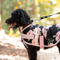 Charger l'image dans la visionneuse de la galerie, Jeffers Expression moisture-wicking fleece dog coat with floral print and pink straps; logo visible.