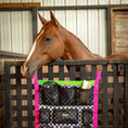 Cargar la imagen en la vista de la galería, Jeffers Expression Trailer Door Horse Grooming Caddy with black-and-white checkered pockets and bright pink straps.