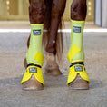 Bild in Galerie-Betrachter laden, Jeffers Protective Horse Boots, Solid Colors, 2-Pack
