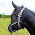 Load image into Gallery viewer, Jeffers Matching Horse Halter & Lead Rope 2 Piece Set, Full Size