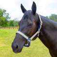 Load image into Gallery viewer, Jeffers Matching Horse Halter & Lead Rope 2 Piece Set, Full Size