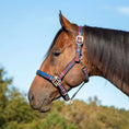 Load image into Gallery viewer, Jeffers Matching Horse Halter & Lead Rope 2 Piece Set, Full Size