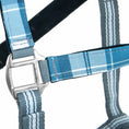 Load image into Gallery viewer, Jeffers Matching Horse Halter & Lead Rope 2 Piece Set, Full Size