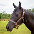Load image into Gallery viewer, Jeffers Matching Horse Halter & Lead Rope 2 Piece Set, Full Size