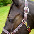 Load image into Gallery viewer, Jeffers Matching Horse Halter & Lead Rope 2 Piece Set, Full Size