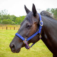 Load image into Gallery viewer, Jeffers Matching Horse Halter & Lead Rope 2 Piece Set, Full Size
