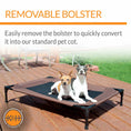 Load image into Gallery viewer, K&H Original Bolster Pet Cot elevated pet bed with removable bolster; brown platform with three dogs.
