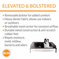 Load image into Gallery viewer, K&H Pet Products Original Bolster Pet Cot elevated pet bed; dog relaxing on gray frame with beige bolster