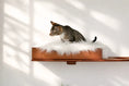 Gallery viewerに画像を読み込む, The Cat Nest Bed on a wooden cat shelf with fluffy white fur lining by Catastrophic Creations