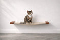 Bild in Galerie-Betrachter laden, Catastrophic Creations Hanging Cat Bed Hammock, beige fabric cat perch on wall with wooden ends