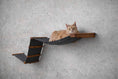 Bild in Galerie-Betrachter laden, The Raceway wall-mounted cat hammock by Catastrophic Creations in dark gray fabric with wooden supports.