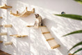 Carica l'immagine nel visualizzatore della galleria, The Lift- Cat Hammock Bed by Catastrophic Creations; natural wood wall-mounted cat hammock with ramps