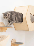 Bild in Galerie-Betrachter laden, Small Cat House by Enjoy The Wood B2B; natural wood cat condo with side entrance