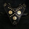 Load image into Gallery viewer, The "Maximus" harness black & gold - Pet Collars & Harnesses from Bestia Dog Gear