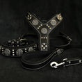Load image into Gallery viewer, "Maximus Silver" BIG dog SET- Harness - collar - lead. Black - Pet Collars & Harnesses from Bestia Dog Gear