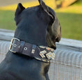 Load image into Gallery viewer, The ''Midas'' Collar Silver - Pet Collars & Harnesses from Bestia Dog Gear