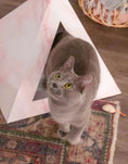 Load image into Gallery viewer, Kitty Kardboard Rose Quartz Cardboard Cat Pyramid Stylish Decor by KittyKardboard