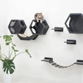 Load image into Gallery viewer, Cat Curve Wall Bed Black modular three-hexagon cat bed system with shelves and rope bridge, cat on top.