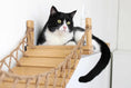 Charger l'image dans la visionneuse de la galerie, Double Cat Hammock and Climbing Bridge Combo; wooden cat bridge with natural rope accents