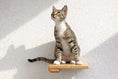 Bild in Galerie-Betrachter laden, Cat climbing shelf on a white wall; natural wooden platform with a cat perched.