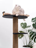Charger l'image dans la visionneuse de la galerie, WoodCraft Wooden Cat Tree With Natural Plywood And Durable Twine Wrapping For Indoor Pets by Enjoy The Wood