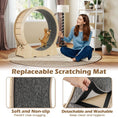 Load image into Gallery viewer, 40-inch cat exercise wheel with natural wood frame, gray carpeted interior, and lockable mechanism.