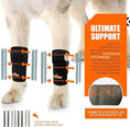 Bild in Galerie-Betrachter laden, Neoallypets 3-in-1 front leg dog splint brace pair; black neoprene with orange trim and removable metal inserts
