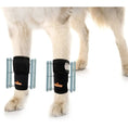 Bild in Galerie-Betrachter laden, Neoallypets front leg dog splint brace set, pair of black wraps with orange logo and metal side rails