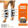 Bild in Galerie-Betrachter laden, NeoAlly 3-in-1 long rear leg hock brace pair with rigid and spring inserts and safety reflective straps