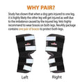 Bild in Galerie-Betrachter laden, Neoallypets dog rear leg hock brace pair, black with white reflective straps, for large dogs, left and right.