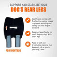 Load image into Gallery viewer, NeoAlly Dog Rear Leg Hock Brace for right leg; black with blue straps and reflective Velcro for visibility