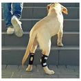 Load image into Gallery viewer, Neoallypets NeoAlly dog rear leg hock braces with reflective straps for small dogs, shown on steps.
