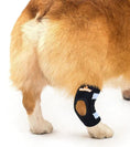 Load image into Gallery viewer, NeoAlly dog rear leg hock brace black by Neoallypets with reflective straps for small dogs