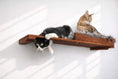 Gallery viewerに画像を読み込む, The Cat Nest Bed on a brown wooden cat shelf, two cats lounging: a black-and-white and a tabby.
