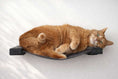 Bild in Galerie-Betrachter laden, Hanging Cat Bed Hammock in dark gray fabric with black clamps; orange tabby cat resting on it.