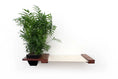 Load image into Gallery viewer, Cat Hammock Wall with Planter; black planter with green plant and beige hammock.