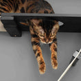Charger l'image dans la visionneuse de la galerie, The Plateau Horizontal Cat Scratcher Bed Set, black platform by Catastrophic Creations