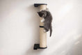 Charger l'image dans la visionneuse de la galerie, Wall-mounted cat climbing pole with sisal-wrapped post and black brackets; cat scratcher.