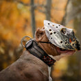 Bild in Galerie-Betrachter laden, The "Haunted'' collar LIMITED - Pet Collars & Harnesses from Bestia Dog Gear