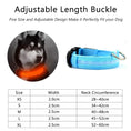 Load image into Gallery viewer, Supplier LED collar size chart with neck ranges and widths in centimeters for XS through XL; this listing offers S through XL.
