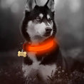 Load image into Gallery viewer, Husky wearing an orange-glowing LED collar and a bone-shaped identification tag.