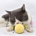Bild in Galerie-Betrachter laden, STEVVEX Interactive Cat Toy Ball With Realistic Chirping Sounds Auto Motion Activation For Pet Exercise Hunting Play by Stevvex