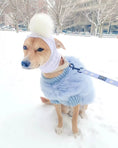 Load image into Gallery viewer, Haute Couture Feathered Luxury Pet Sweater for dogs, light blue faux-fur with a white knit hood and oversized pom-pom.