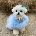 Load image into Gallery viewer, Haute Couture Feathered Luxury Pet Sweater, light blue fluffy knit dog apparel by Furr Baby Gifts
