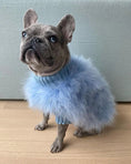 Load image into Gallery viewer, Haute Couture Feathered Luxury Pet Sweater, light blue fluffy knit with ribbed collar